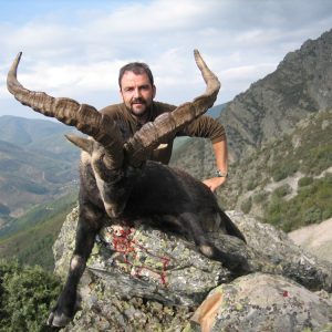Gredos Ibex Spanien, privat område: 2023 frem til slut marts 2024