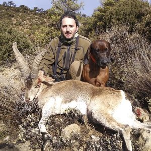 Reguleringsjagt på Ibex i Spanien