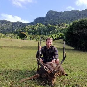 Jagt på Rusahjort på Mauritius