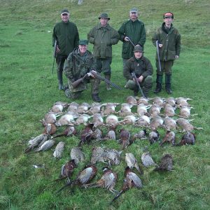 Hind og Kalve jagt eller Rough Shooting i Kingussie Skotland