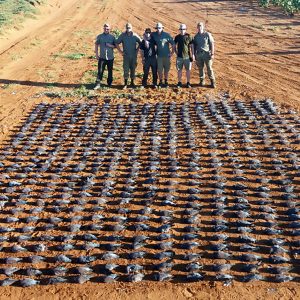 High volume duejagt ved Bloemfontein i Sydafrika