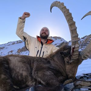 Mid Asian Ibex i Kirgisistan